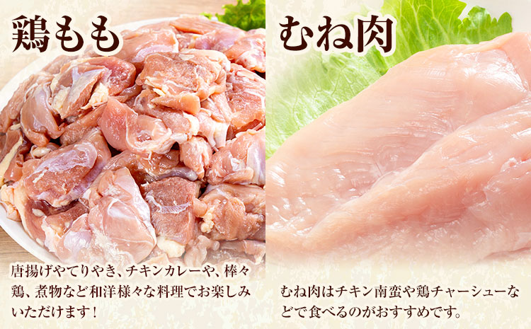 【3ヶ月定期便】 九州産若鶏もも肉（310g×8袋）・むね肉（600g×7袋）セット  鶏肉 お肉 モモ肉 もも肉 ムネ肉 むね肉 2種類 小分け 冷凍 九州産 国産 熊本県 菊池市 送料無料《お申込