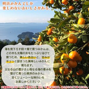 愛媛県明浜産　天晴みかん（温州みかん） 10kg