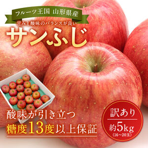 【2026年1月発送】訳ありだけど糖度13度以上！ご家庭用サンふじりんご5kg_H154(R7)