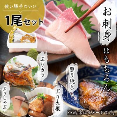 ふるさと納税 垂水市 【鹿児島産】冷凍ぶり 1尾セット(皮無ロイン背腹計4p、カマ2p)【アクアブルー】D4-4705 |  | 02