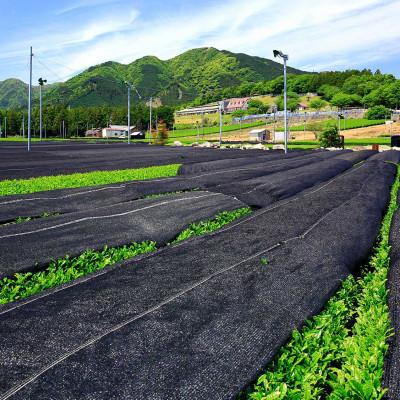 ふるさと納税 四日市市 水沢かぶせ茶お手軽なティーバックのセット　D |  | 03