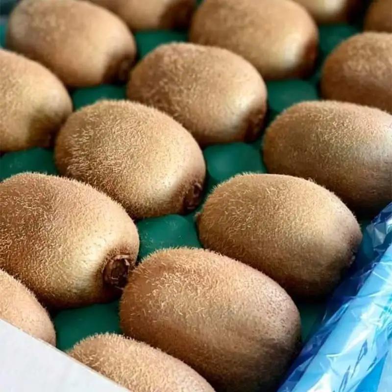 ＜先行予約＞【3年連続受賞】「A品数量限定」下仁田町産キウイフルーツ約3.6kg（1玉Lサイズ115g以上） キウイ フルーツ キウイ デザート 果物 贈答品としても人気！ F21K-448