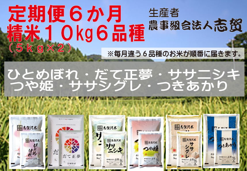 【令和7年産新米】食べ比べ！【6ヶ月定期便】宮城県岩沼市産 志賀沢米 10kg サブスク　 