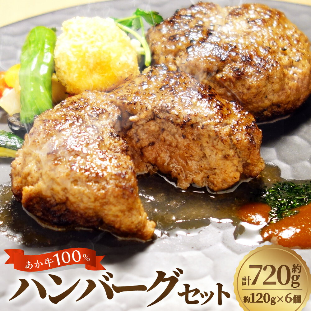 【ふるさと納税】あか牛100％ハンバーグセット 計720g（約120g×6個） 牛肉 お肉 和牛 褐毛和種 霜降り 赤身 惣菜 冷凍 熊本県 西原村 送料無料