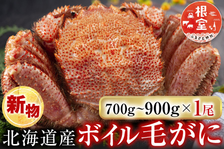 根室海鮮市場＜直送＞ボイル毛がに700～900g×1尾(堅蟹) C-28060