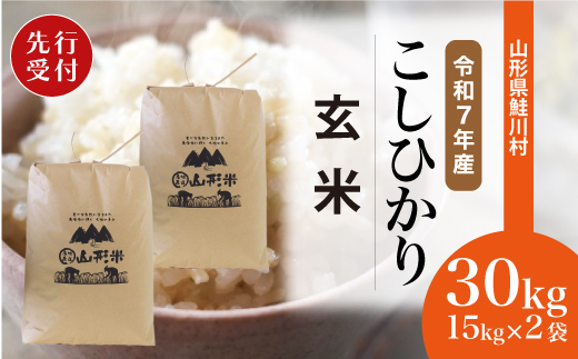 ＜令和7年産米先行受付＞ 令和8年8月中旬発送　こしひかり 【玄米】 30kg （15kg×2袋） 沖縄県・離島配送不可  鮭川村