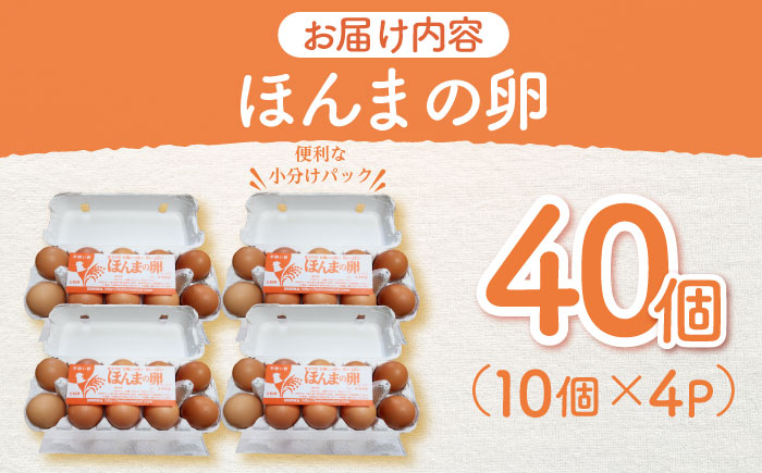 平飼いニワトリの有精卵！ほんまの卵 40個（10個×4パック） / たまご 卵 平飼い / 佐賀県 / 本間農園 [41AJAA003]