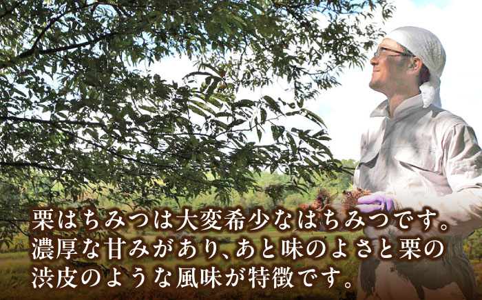 恵那 栗蜂蜜 2本 ギフト箱入りセット (栗蜂蜜300g×2本) 国産 はちみつ 岐阜 恵那市 / はち工房こうけつ [AUDF018]