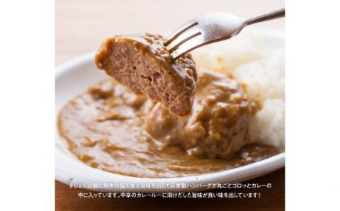 きじょん山豚 ハンバーグカレー 9食分(180g×9袋)【肉 豚肉 加工品 惣菜 レトルト 宮崎県産ブランド豚 おかず ハンバーグ カレーライス 簡単調理】