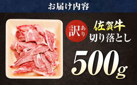 【訳あり】佐賀牛 焼肉用 切り落とし 500g / 有限会社片岡精肉店 [41AEAC004]