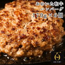 【ふるさと納税】おおいた和牛特製ハンバーグ170g×6個（計1020g）【匠牧場】＜102-030_5＞