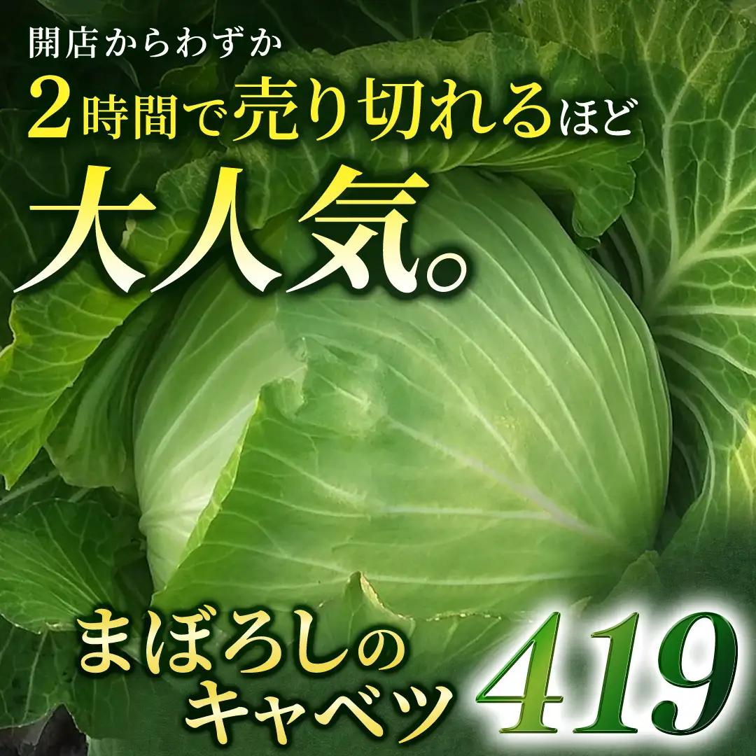 ＜レビューキャンペーン開催中＞＜7月中旬発送開始＞ 【 特選 】 まぼろしの419キャベツ 4玉 [AL021tu]