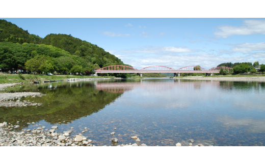 ★☆ 関東地方限定配送 ☆★ 精米 20kg(5kg×4袋) ほたる米【令和7年産】お米 米 ご飯 城里町 桂農産 ＼那珂川の清流ホタル米／【配送不可地域：関東以外】(AX011)