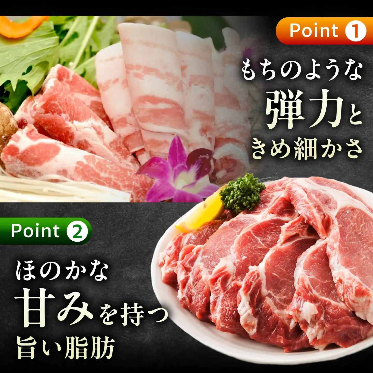豚肉たっぷりセット約2.9kg [BAER024] 豚肉