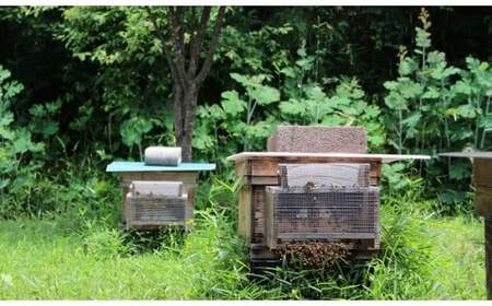 A-187　えみちゃんの純粋はちみつ 300ｇ×２