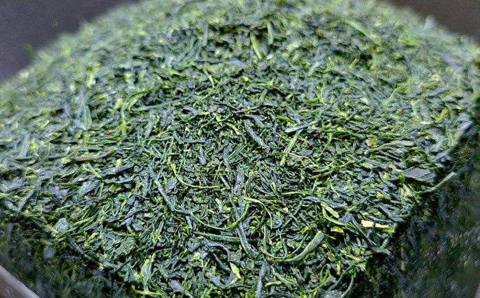 極上うれしの茶 飲み比べ4本セット（摩利支・きらり31・つゆひかり・うれしの茶 煌）/有限会社 原製茶園 [UEJ004] お茶 日本茶 緑茶