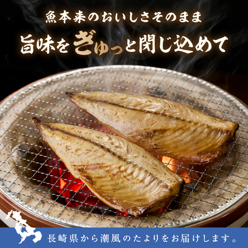 松浦・潮風のたより 塩サバフィレ一夜干し15枚入り( 魚 干し物 サバ 海鮮 干物 おすすめ 人気 セット ひもの さば 詰め合わせ 国産 )【A8-038】