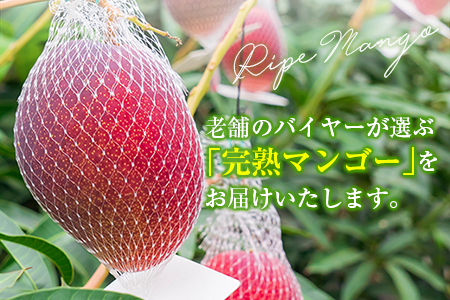 【定期便 完熟マンゴー】2027年出荷 2L×2玉 全4回 果物 フルーツ F143-27