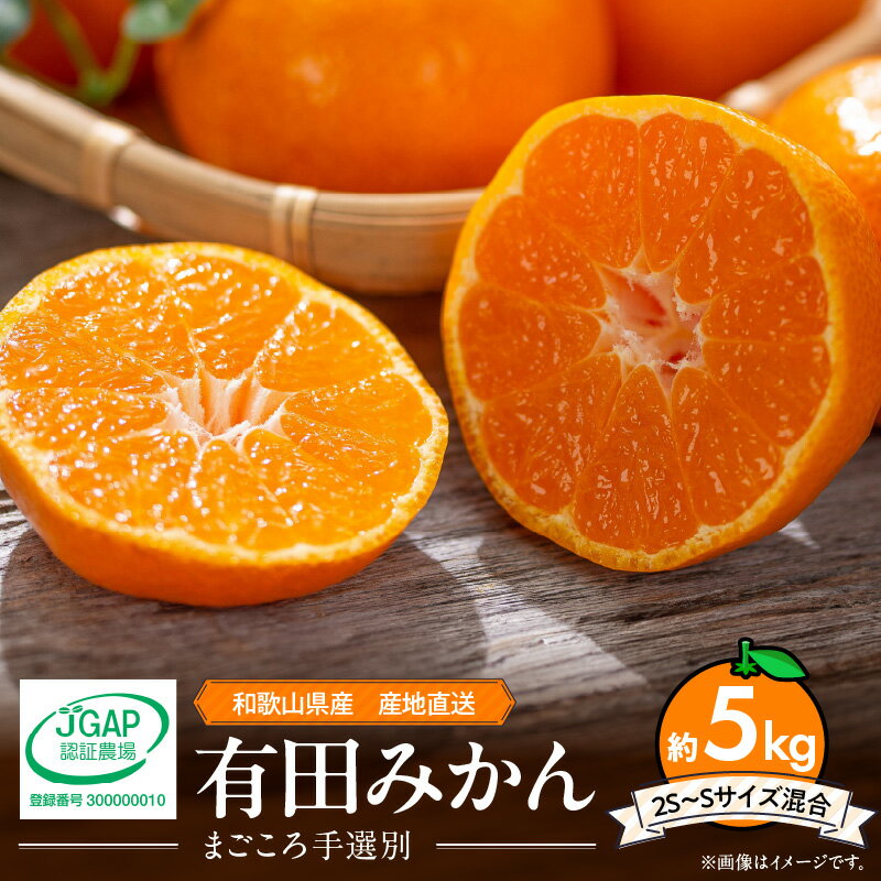 【ふるさと納税】【2025年先行予約】【限定】 和歌山県産 有田みかん 5kg (2S～Sサイズ混合)【まごころ手選別】【ミカン 蜜柑 温州みかん 柑橘 和歌山】