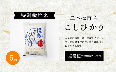 二本松市産こしひかり5kg 米 精米 コシヒカリ 5kg 特別栽培 お米 こめ おすすめ お中元 お歳暮 ギフト 二本松市 ふくしま 福島県 送料無料【株式会社あだたら米】