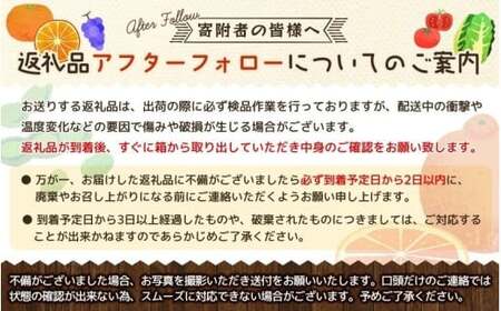 【訳あり みかん 10kg】  訳あり 有田みかん 約10kg【nuk138H】