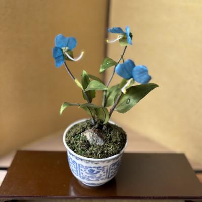 ふるさと納税 掛川市 【夏　つゆ草】四季を彩る創作草もの盆栽(工芸品)〜工房椿