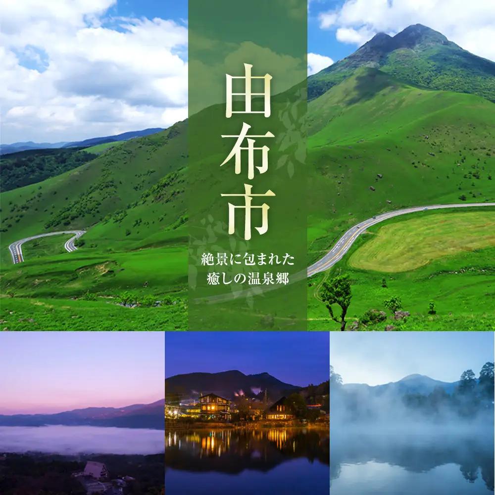 梨サイダー 250ml×24本入り