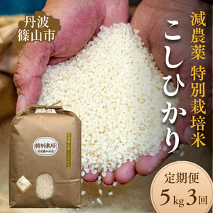 【定期便】丹波篠山市 コシヒカリ 特別栽培米 5kg×3回 令和7年産 こしひかり