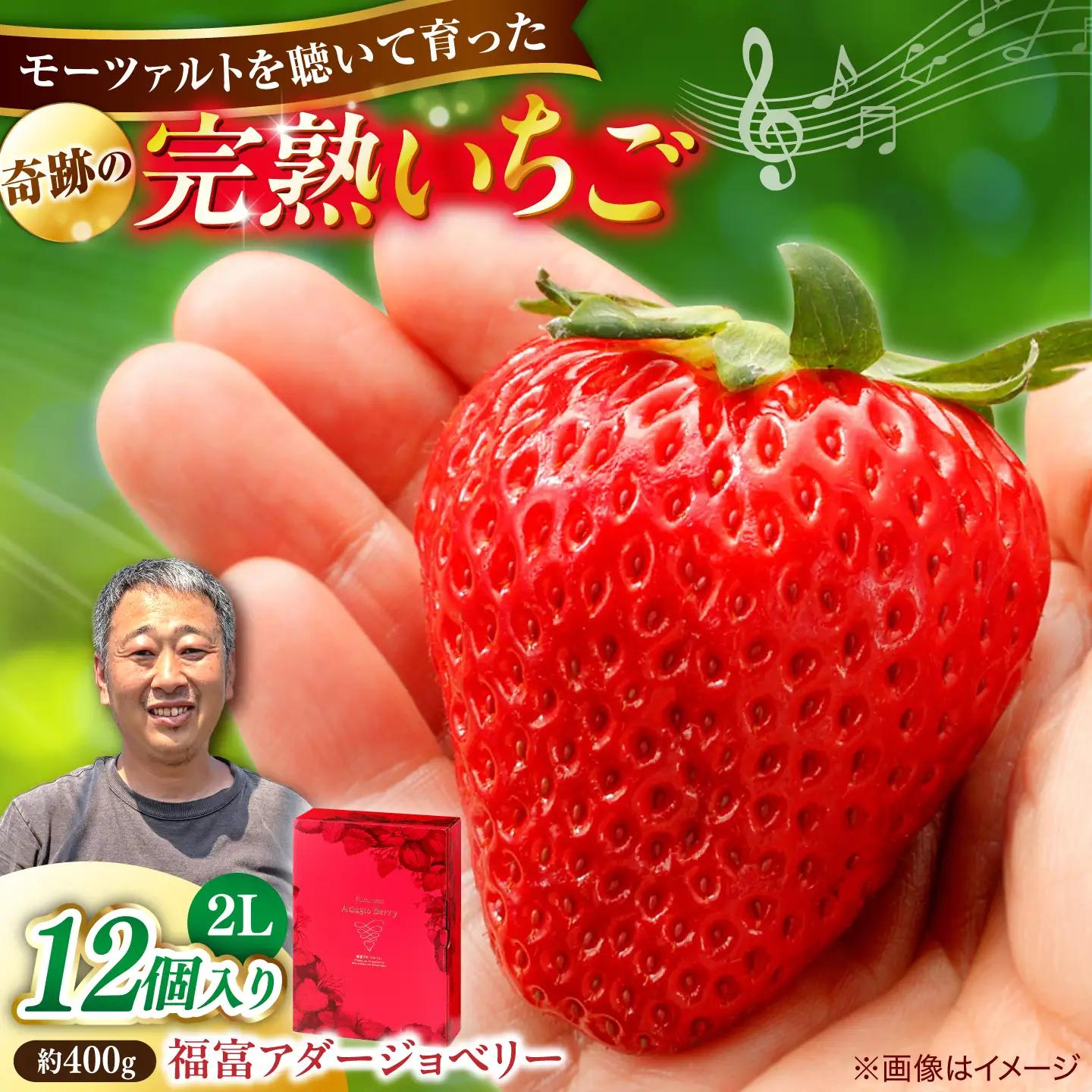 島根県産 いちご400g 苺[ALFI003] 2Lサイズ12個入り