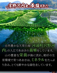 S100-001A_天草特産乾燥あおさ25g　6個セット / 天草特産 乾燥 あおさ