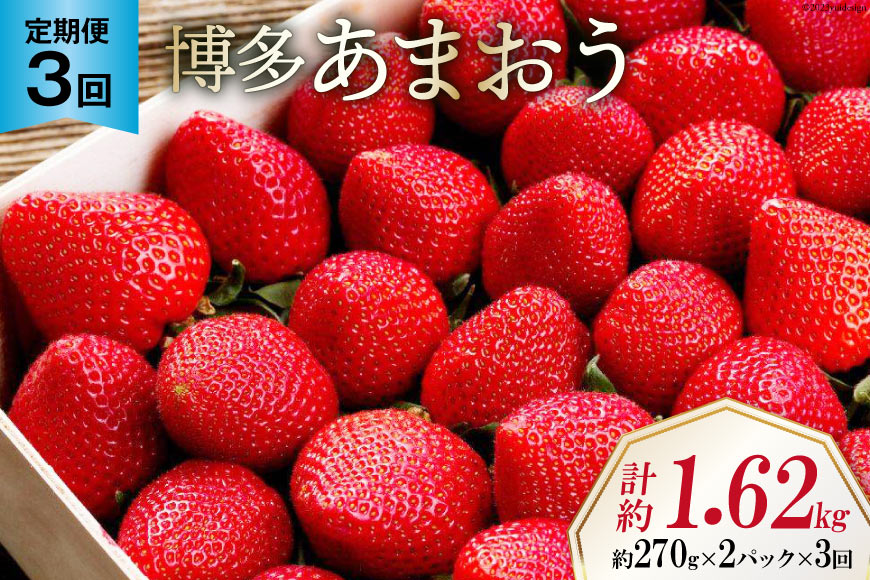 期間限定発送 【3回 定期便 】 いちご 博多 あまおう 約270g×2パック×3回 総計約1.62kg [エイチアンドフューチャーズ 福岡県 筑紫野市 21760526] 果物 フルーツ 苺 農家直送 朝どり 新鮮 福岡県産 期間限定