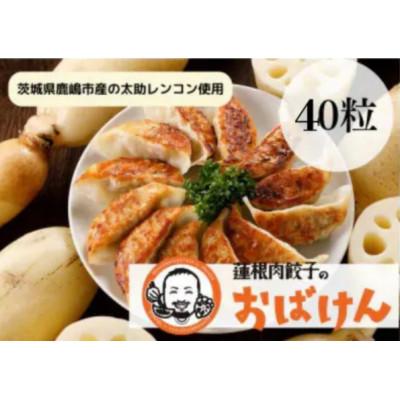 ふるさと納税 鹿嶋市 【毎月定期便】蓮根肉餃子のおばけん[40粒]全12回