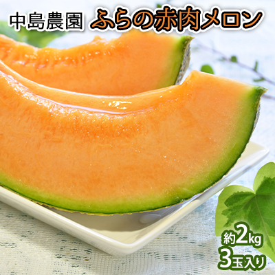 【2026年7月～発送】北海道 富良野市 ふらの赤肉 メロン 3玉 計 約6kg (中島農園) メロン フルーツ 果物 新鮮 甘い 贈り物 ギフト 道産 ジューシー おやつ ふらの ブランド 夏 