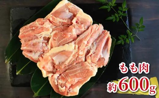 媛っこ地鶏 もも肉 むね肉 ささみ 約1.7kg ローカルスタンダード
