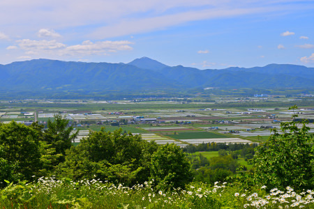 【定期便3回】北海道奈井江町　ななつぼし　5kg