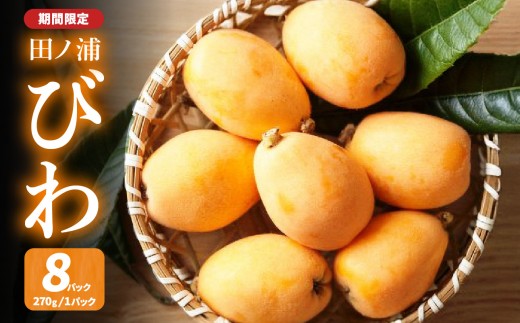
                  【期間限定】田ノ浦びわ 約2.16kg（270g×8パック） 数量限定 びわ 枇杷 果物 フルーツ 甘い みずみずしい 大容量 季節限定 旬 デザート 国産 大分産 大分びわ 田ノ浦 長崎早生 茂木 なつたより おやつ たっぷり ジャム お取り寄せ 高級 C07013
                