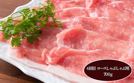 米澤豚一番育ち 満喫定期便 全5回 ブランド豚 豚肉 米沢 米沢豚 山形県 南陽市 1859
