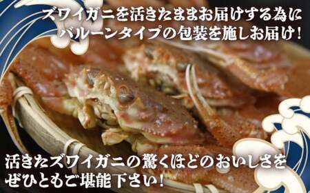 【数量限定】北海道 豊浦 噴火湾 ズワイガニ メス 約1.5～2kg（8～10尾）【 ふるさと納税 人気 おすすめ ランキング 魚介類 カニ かに 蟹 ズワイガニ ずわいがに 数量 限定 大容量 おい