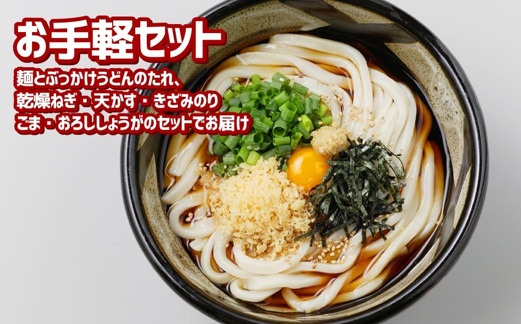 ぶっかけうどん 凍らし麺 8人前