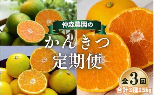 【全3回】仲森農園の柑橘定期便 合計3種 15kg 【超極早生温州「みえ紀南一号」・由良早生・早生温州「完熟熊野みかん」】 みかん ミカン 蜜柑 温州みかん 温州ミカン 柑橘 みかん定期便 フルーツ定期便 果物定期便 柑橘定期便 フルーツ 果物 くだもの 甘い 旬 人気 産地直送 三重県 熊野市【nkmr-tkb0020】