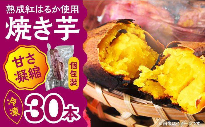 
            【数量限定】【ねっとり甘い熟成サツマイモ】冷凍焼き芋（紅はるか） 30本(S～M) / さつまいも やき芋 冷凍 小分け 個包装 冷やし焼き芋 / 南島原市 / 池田海陸物産 [SEW003]
          