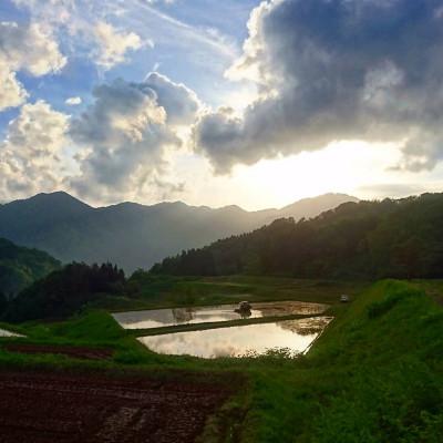 ふるさと納税 村上市 【令和7年産米】新潟県岩船産　棚田米コシヒカリ玄米 10kg AB4041 |  | 01