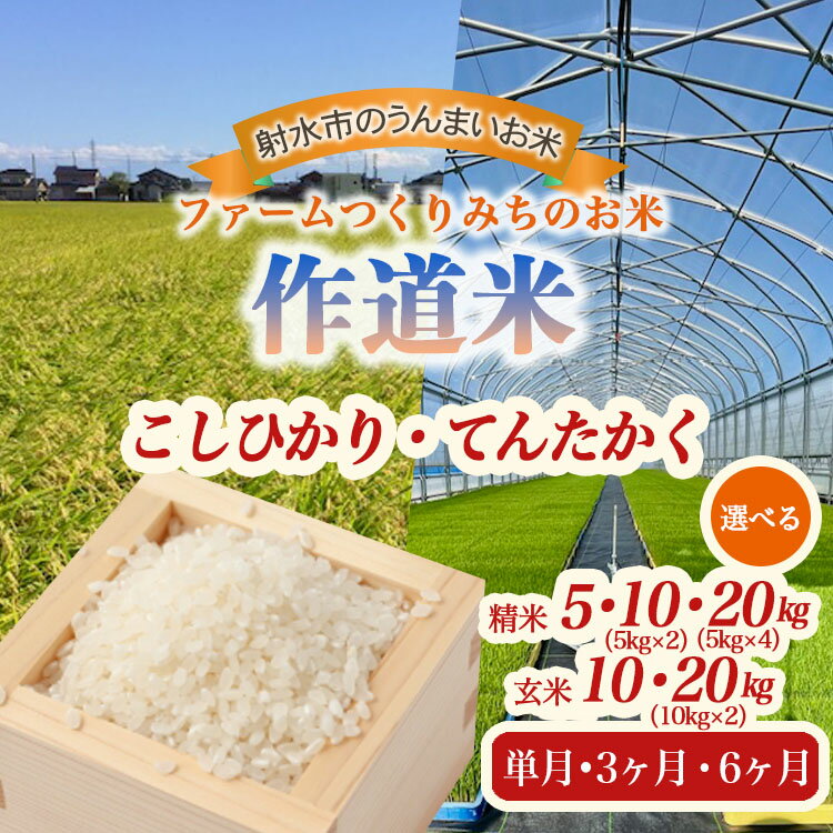 【ふるさと納税】＼選べる品種・内容量・配送回数／【射水市】【射水の美味しいお米】ファームつくりみちのお米 作道米R7年度産こしひかり てんたかく 5kg～120kg【精米】【玄米】 | 米 コメ こめ コシヒカリ こしひかり 人気 ランキング ブランド米 銘柄米 富山県産 北陸