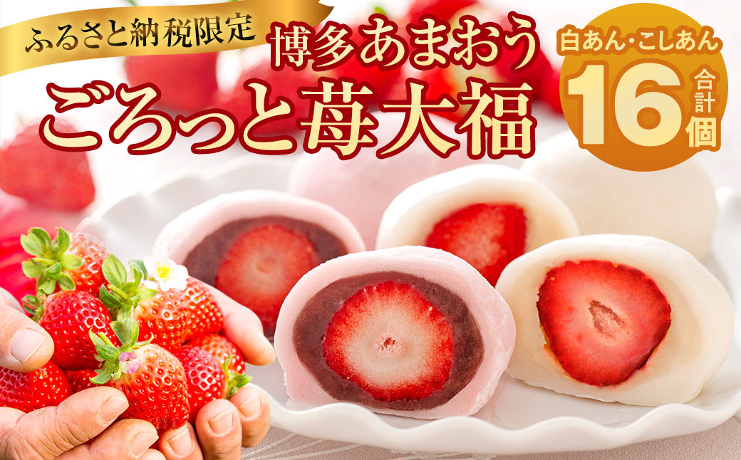 
【2023年1月上旬より順次発送】【ふるさと納税限定】博多あまおう ごろっと苺大福 計16個 イチゴ 和菓子 大福 贈答
