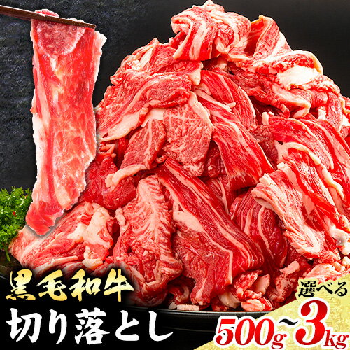 【ふるさと納税】ふるさと納税 黒毛和牛 切り落とし 500g ～ 3kg 《30日以内に出荷予定(土日祝除く)》 岡山県 矢掛町 牛 牛肉 和牛 牛丼 カレー 小分け 小分けパック 250g 送料無料