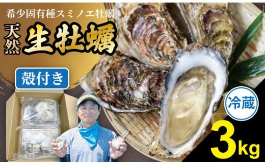 【4月配送】【先行予約】【天然】有明海産 住之江牡蠣 殻付き 冷蔵牡蠣 カキ 牡蠣 3㎏ 貝類 海産物 魚介類 魚介 貝 魚貝 魚貝類 ハクエイ水産