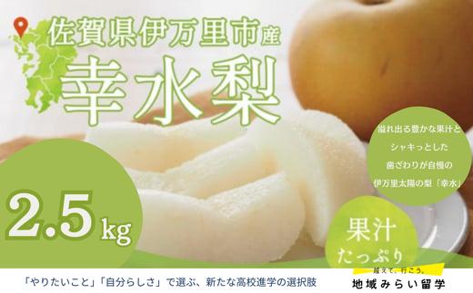 
                  堀田農園 梨「幸水」2.5kg（7月下旬から出荷）
                