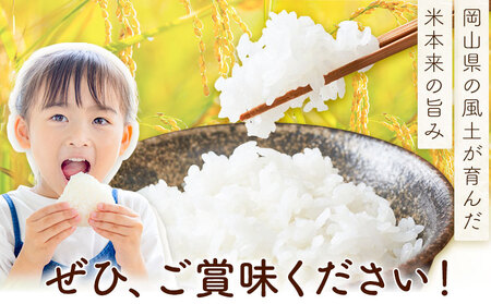 岡山県産 こしひかり 10kg(5kg×2袋)  精米 全農パールライス株式会社《30日以内に出荷予定(土日祝除く)》 岡山県 浅口市 送料無料 こめ 精米 コシヒカリ