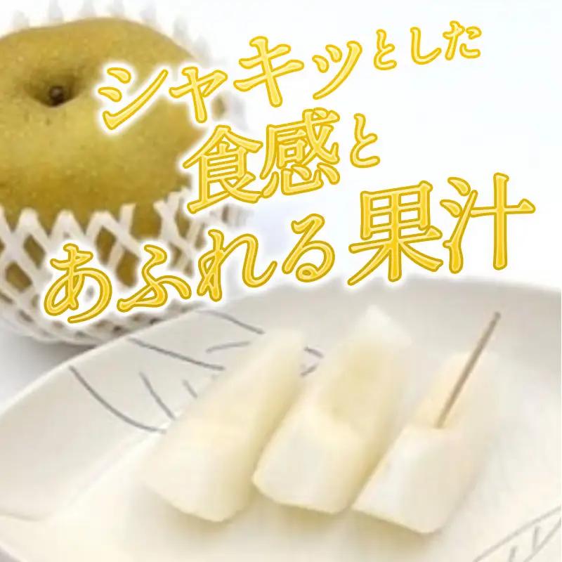 A-1171 訳あり赤梨　5～10玉 2kg（家庭用・規格外）