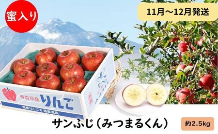 りんご 【11月～12月発送】 蜜入り サンふじ （ みつまるくん ）約 2.5kg 糖度13度以上 【 弘前市産 青森りんご 】